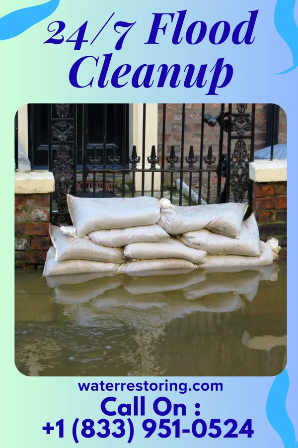 24/7 Flood Cleanup in Lake Ridge, VA