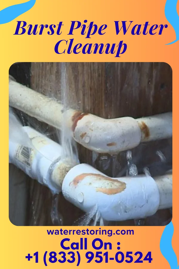 Burst Pipe Water Cleanup in Lake Ridge, VA
