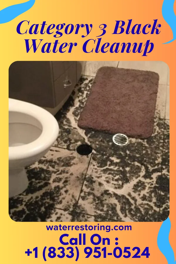 Category 3 Black Water Cleanup in Lake Ridge, VA