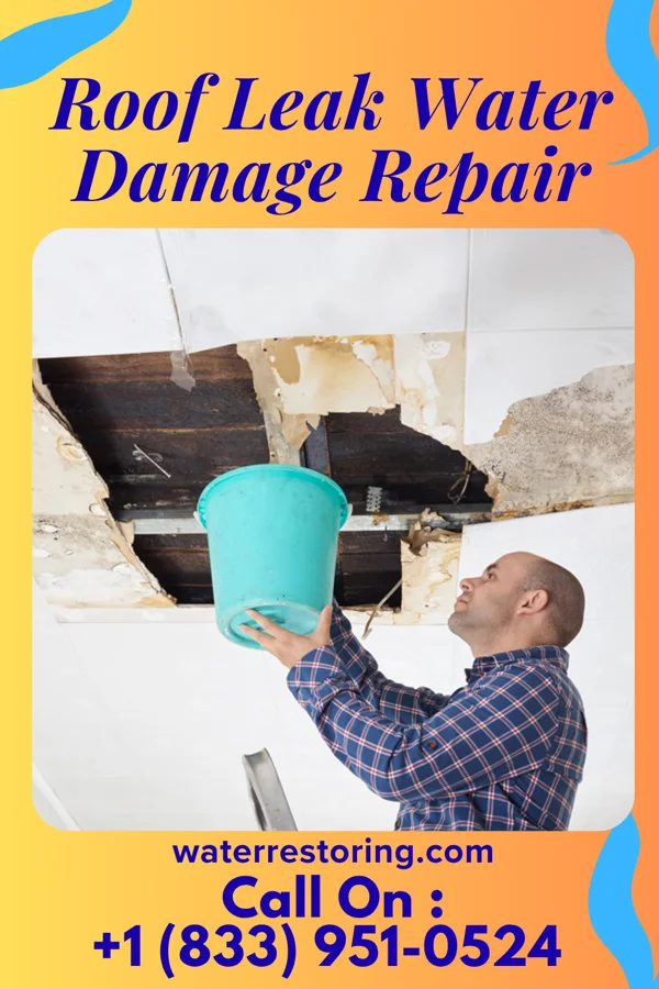 Roof Leak Water Damage Repair in Lake Ridge, VA