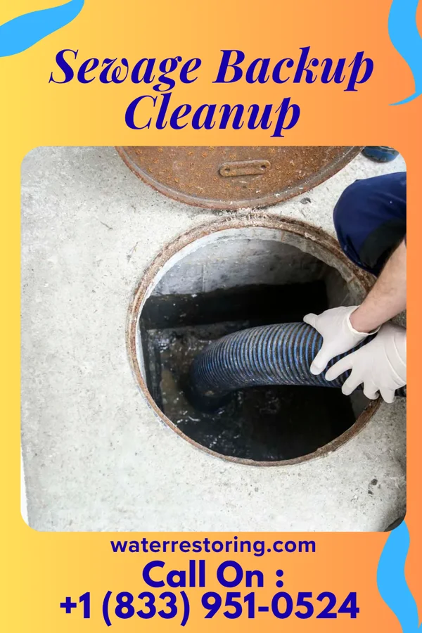Sewage Backup Cleanup in Lake Ridge, VA