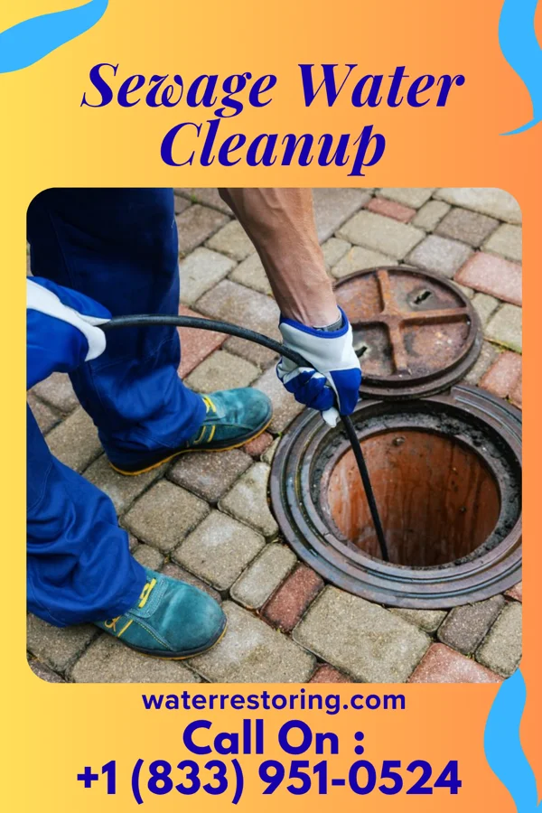 Sewage Water Cleanup in Lake Ridge, VA